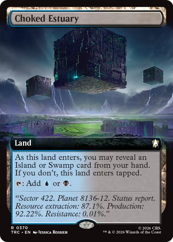 Choked Estuary (Extended Art) [Star Trek Commander]