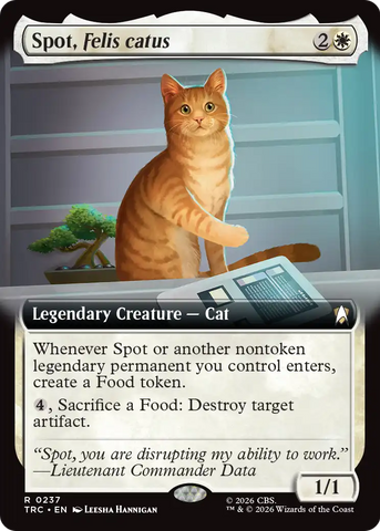 Canyon Slough (Extended Art) [Star Trek Commander]